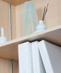 233™ Surface-Mount Steel Pilaster Shelf Standard